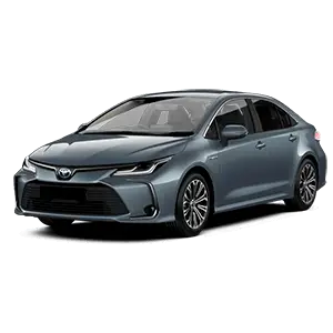 Toyota Corolla Sedan